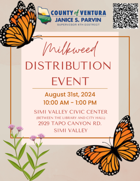 11 August 2024 Milkweed Flyer