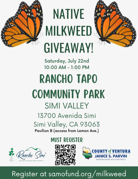 5 July 2023 Milkweed Flyer