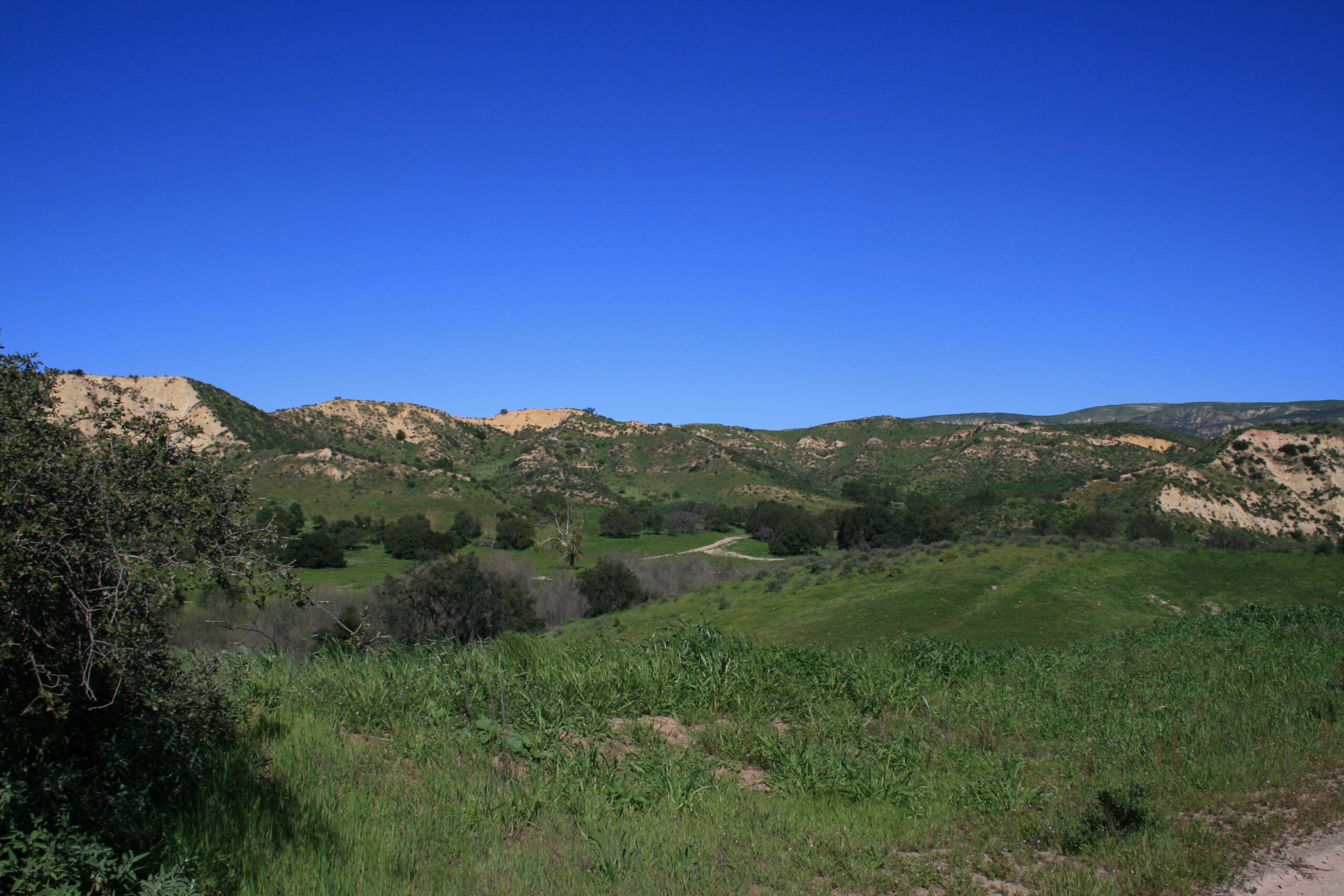 Alamos Canyon Trail 20