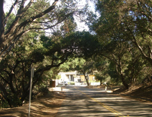 County Road