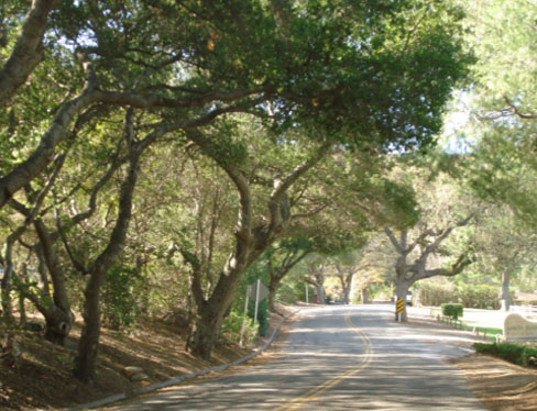 County Road2
