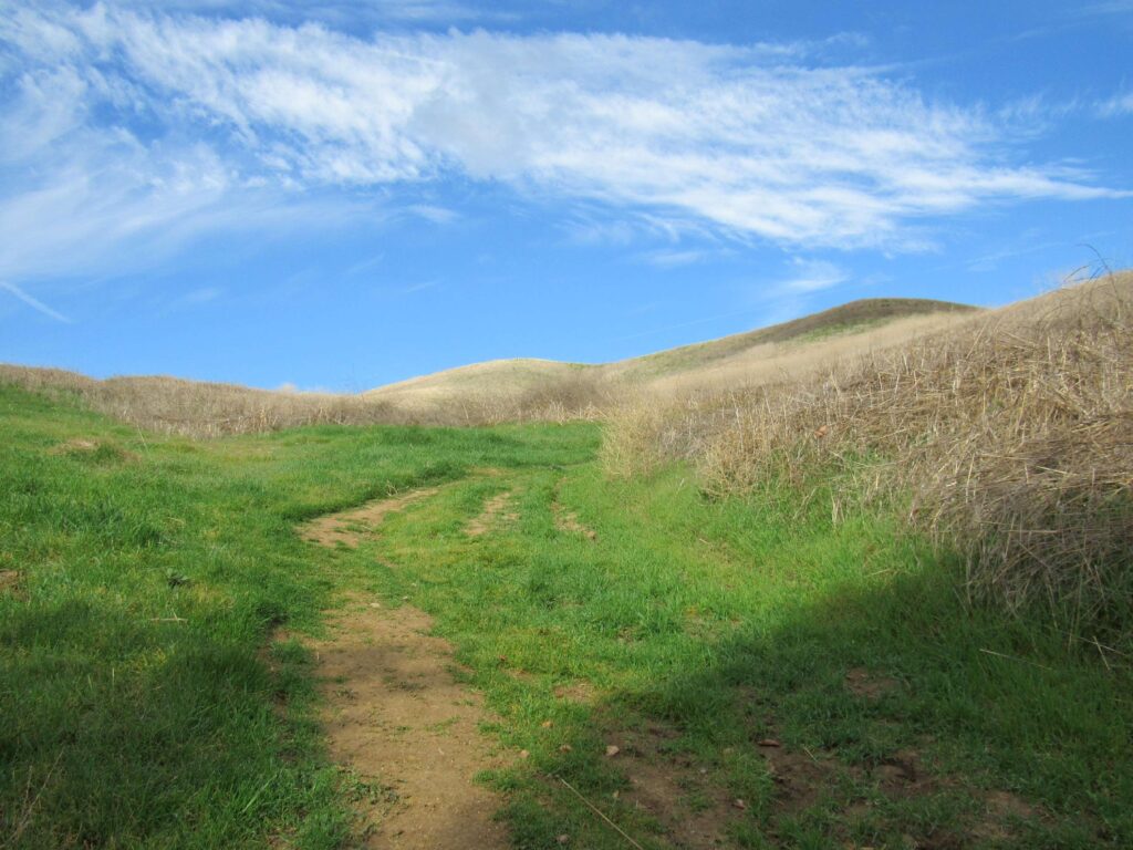 Cyn View Trail Rsized 3