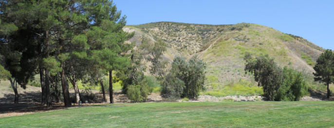 Tapo Open Space