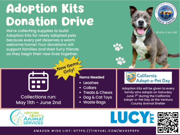 Adoption Kits Donation Drive to Support Shelter Pets