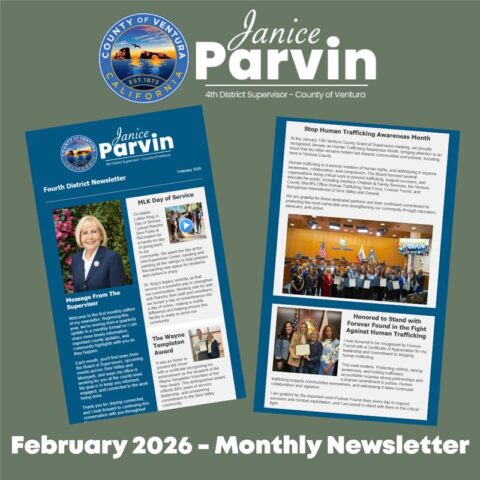 Feb 2026 Newsletter