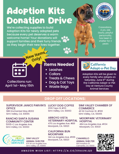 Adoption Kit Drive Flyer